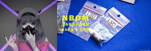 PSILOCYBIN Волосово