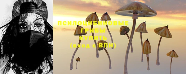 PSILOCYBIN Волосово